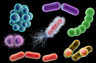 檢測(cè)細(xì)菌微生物的儀器都有哪些？